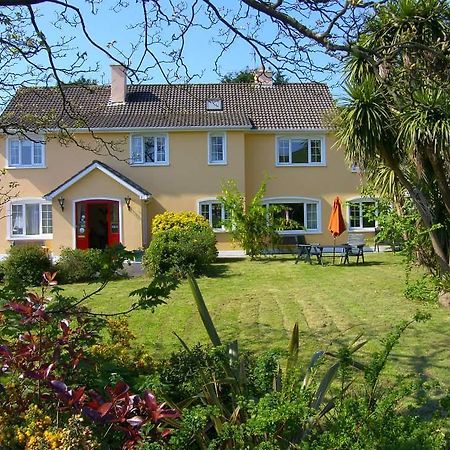 Ashe'S Accommodation Dingle Exterior foto
